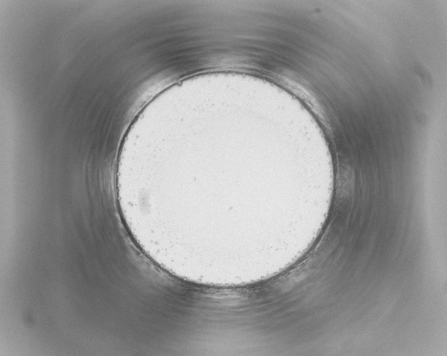 X0000116031338200912181202