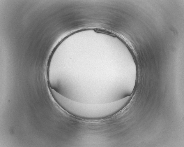X0000116031342200912181202