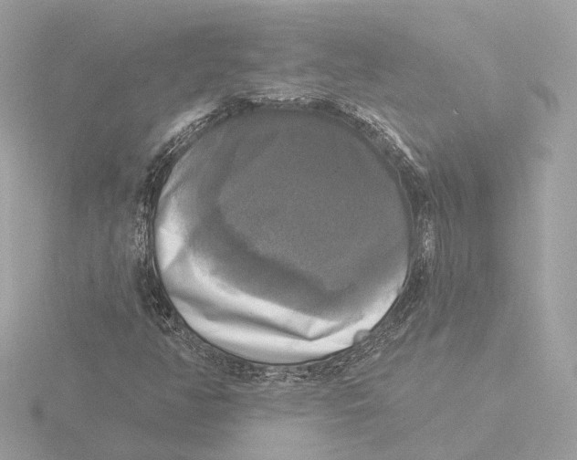 X0000116031350200912181202