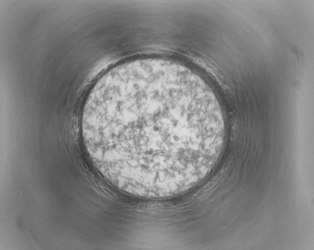 X0000116031355200912181201