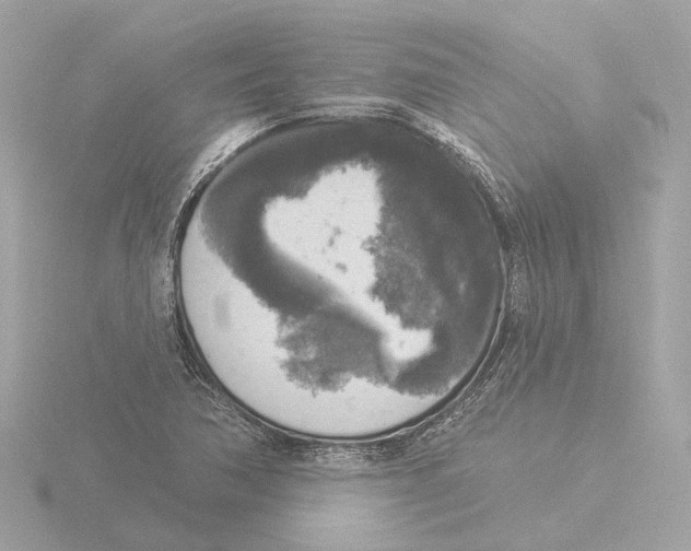 X0000116031362200912181201