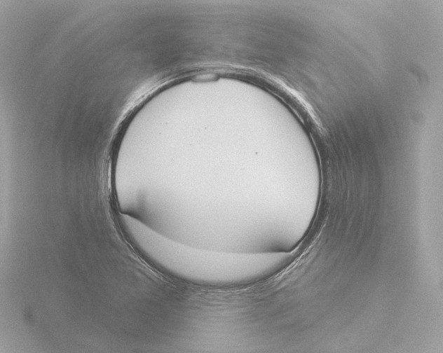 X0000116031365200912181201