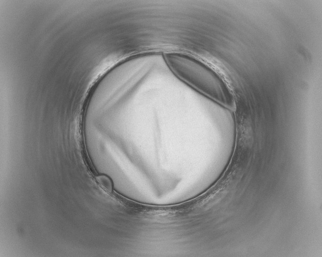 X0000116031373200912181201