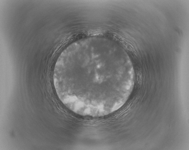 X0000116031393200912181200