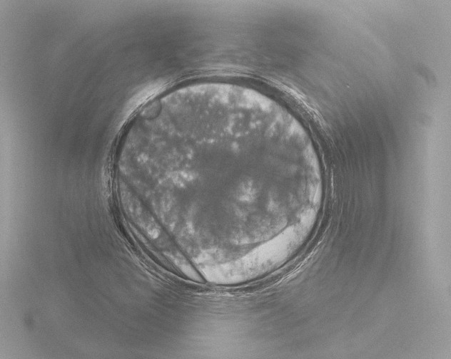 X0000116031405200912181201