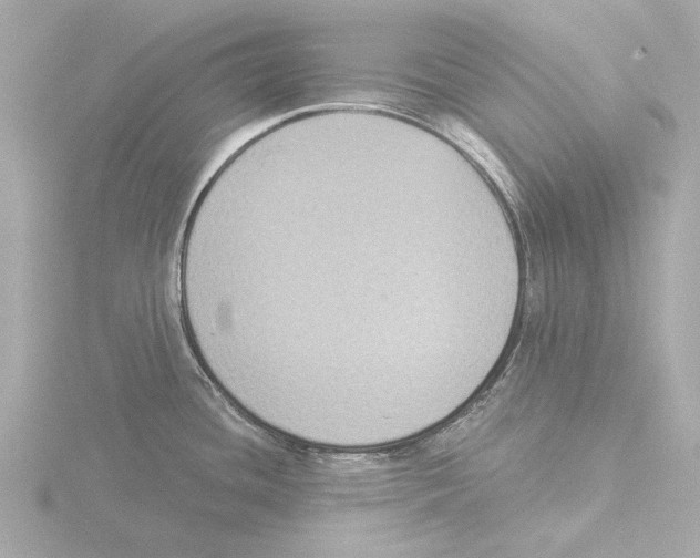 X0000116031436200912181201