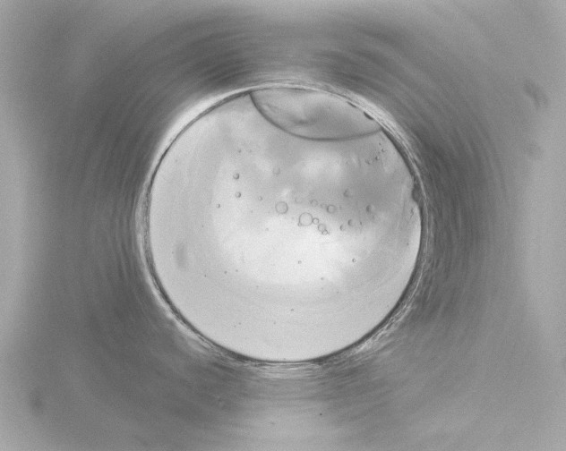 X0000116031440200912181201