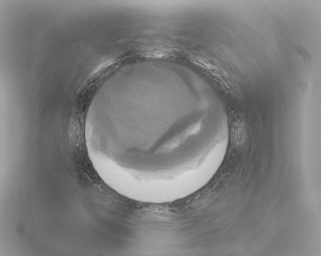 X0000116031446200912181200
