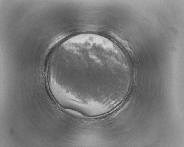 X0000116031453200912181200
