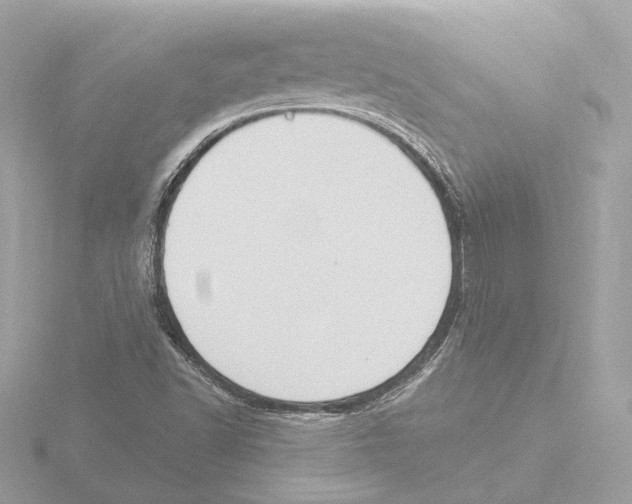 X0000116031502200912181159