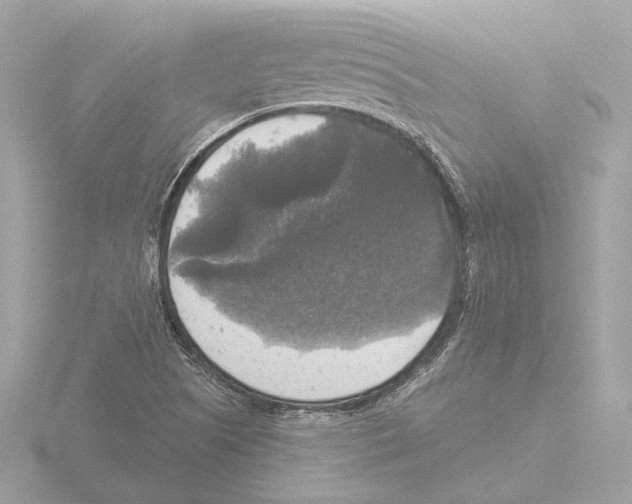 X0000116031505200912181159