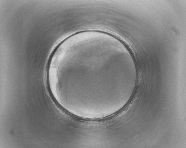 X0000116031517200912181159