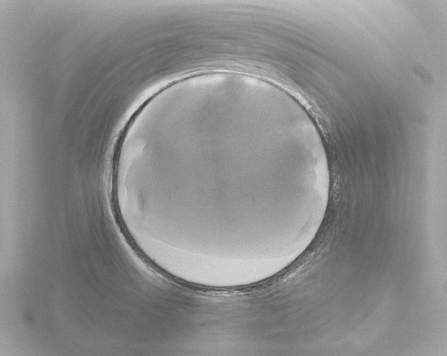 X0000116031523200912181159