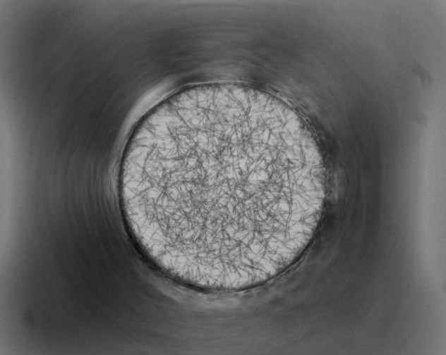 X0000116030004200912312221