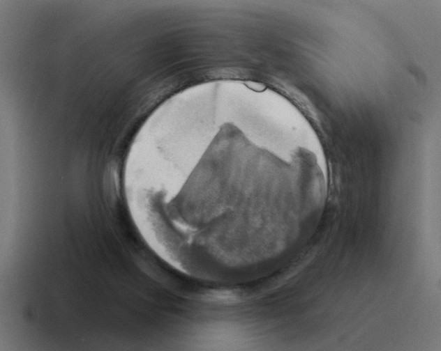 X0000116030061200912312220