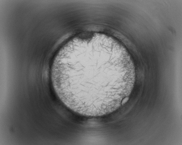 X0000116030064200912312220