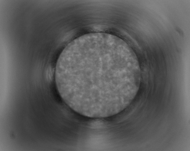 X0000116030075200912312221