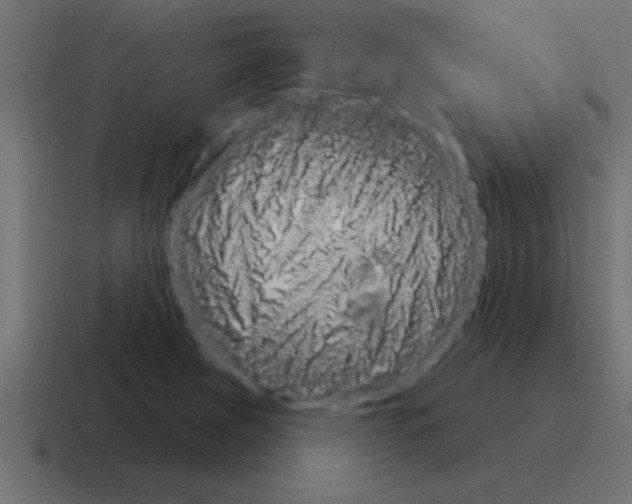 X0000116030079200912312221