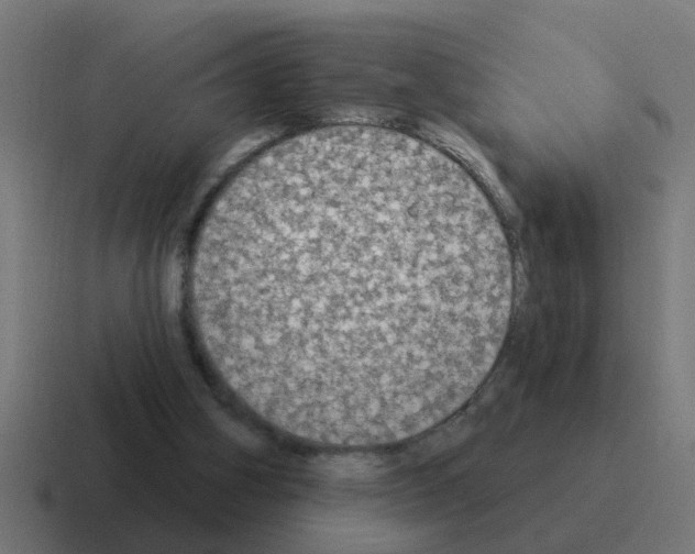 X0000116030106200912312220