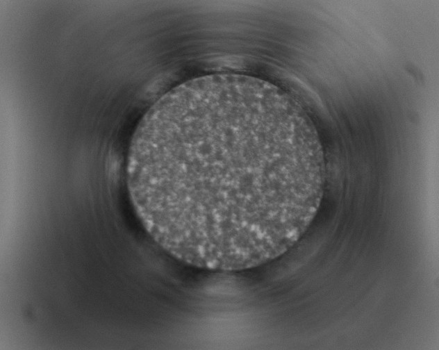 X0000116030123200912312220