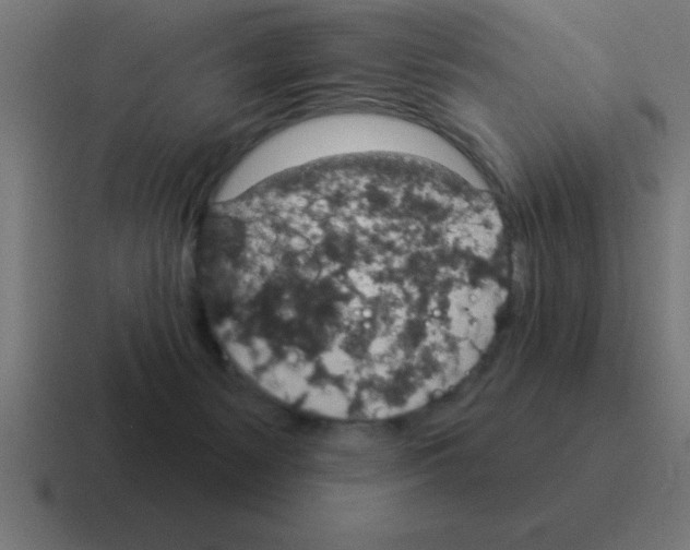 X0000116030127200912312220