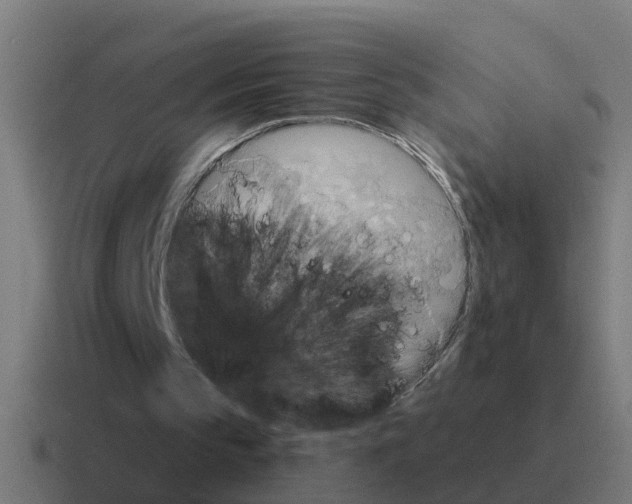 X0000116030145200912312219