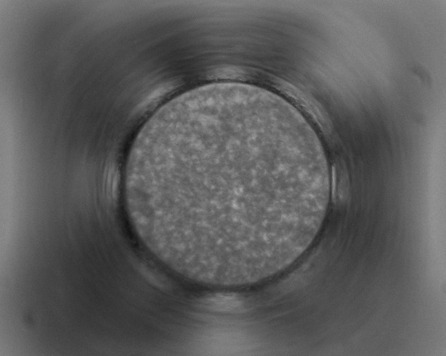 X0000116030157200912312219