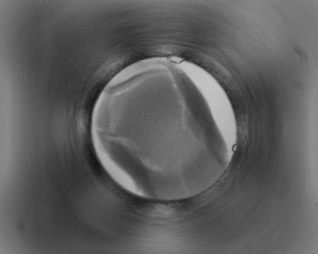 X0000116030166200912312219