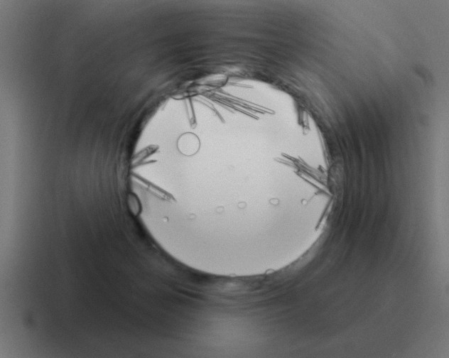 X0000116030174200912312219
