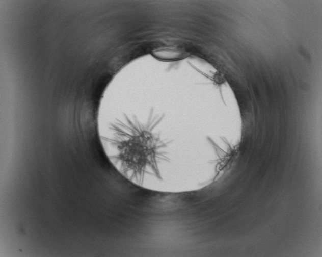 X0000116030186200912312220