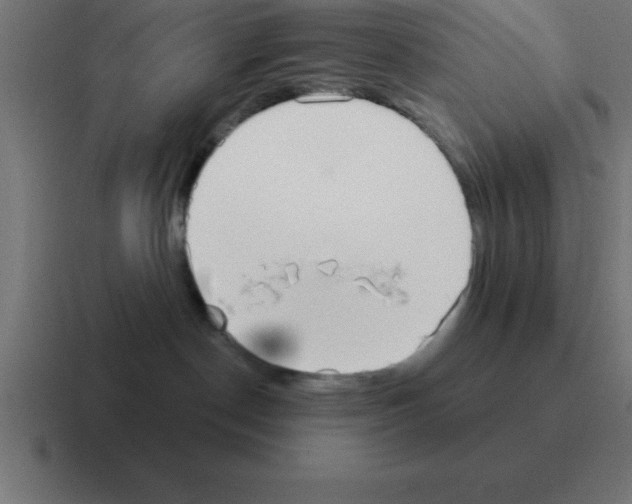 X0000116030190200912312220