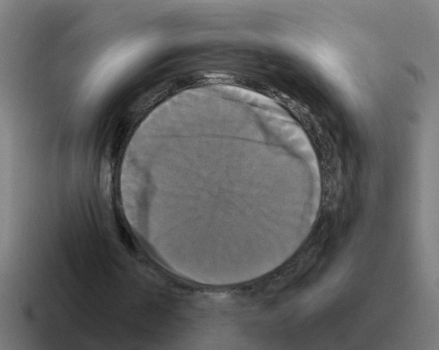 X0000116030194200912312219