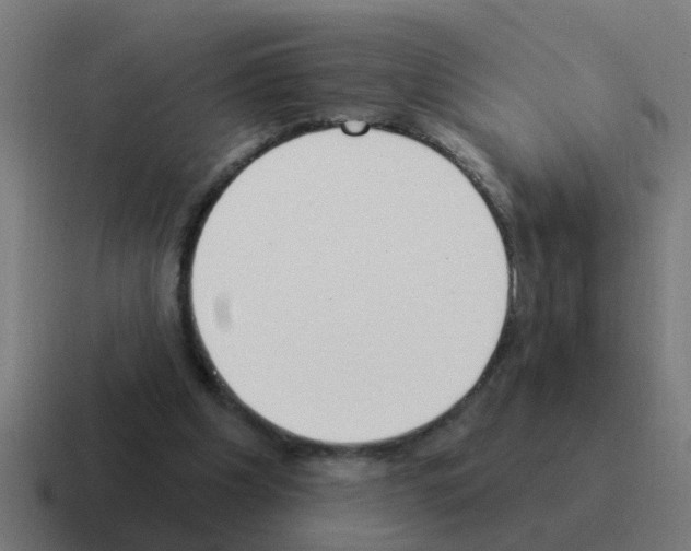 X0000116030201200912312219
