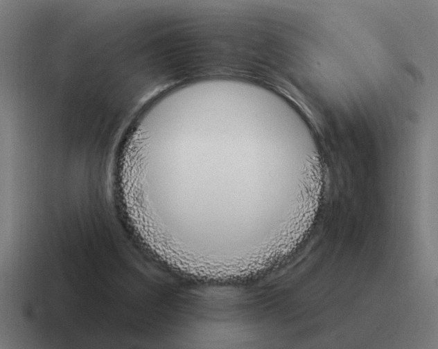 X0000116030203200912312219