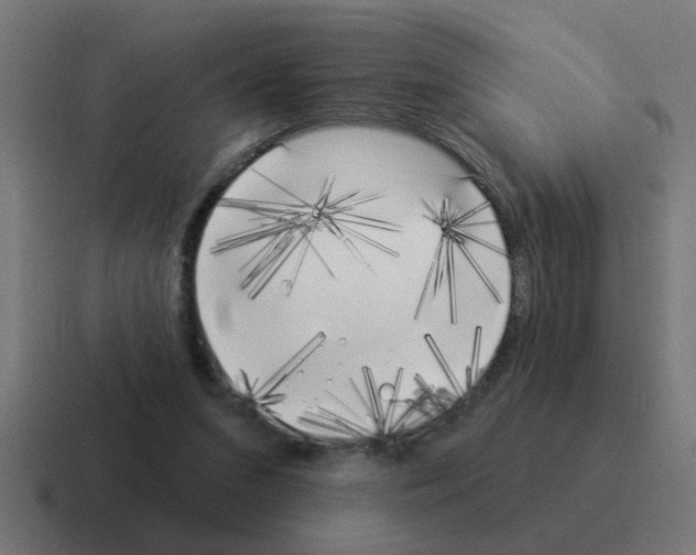 X0000116030207200912312219