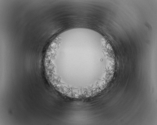 X0000116030211200912312219