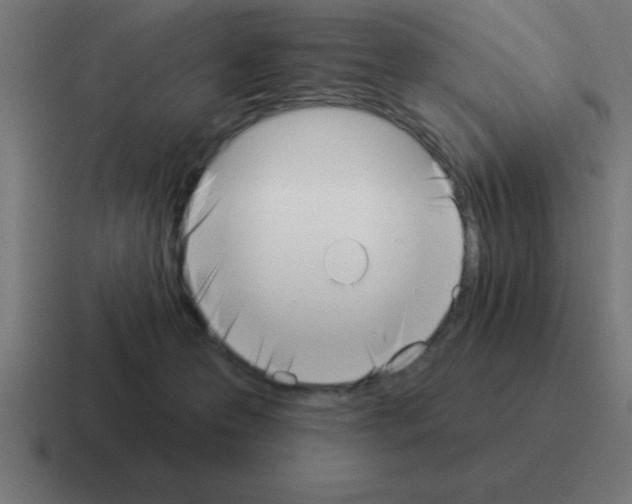 X0000116030223200912312219