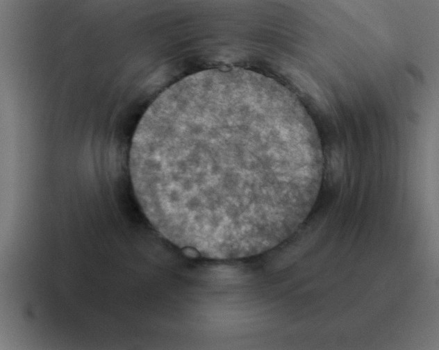 X0000116030236200912312218