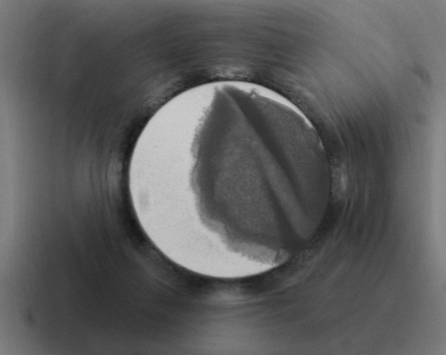 X0000116030263200912312218