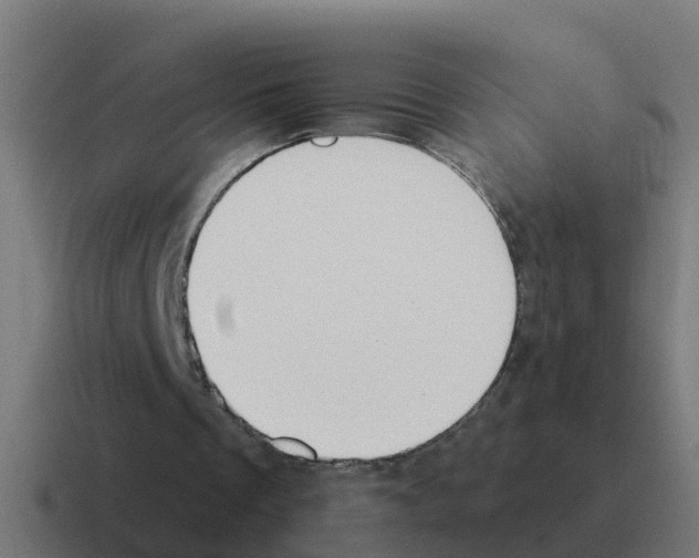 X0000116030289200912312218