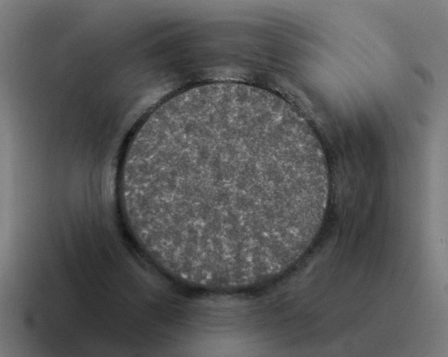 X0000116030299200912312218