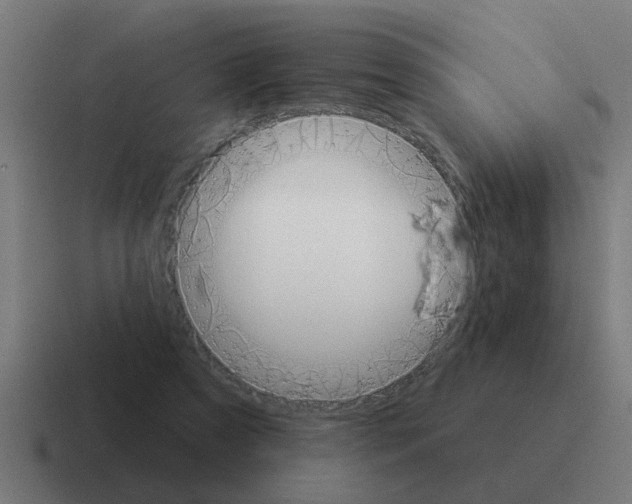 X0000116030305200912312218