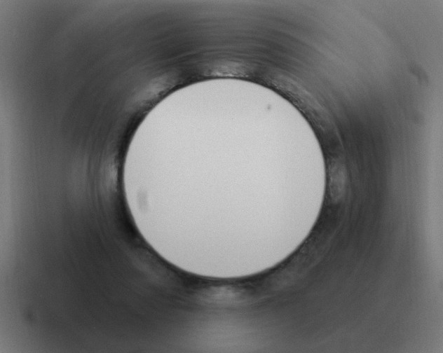 X0000116030310200912312218