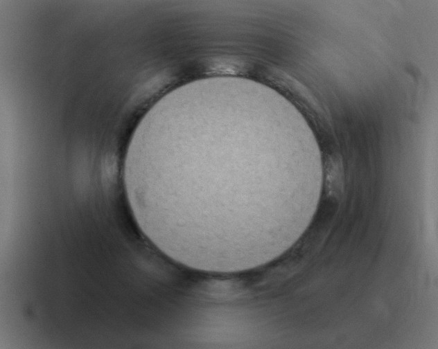 X0000116030314200912312217
