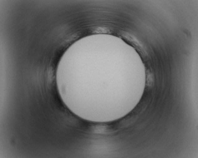 X0000116030318200912312217