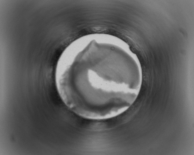 X0000116030319200912312217