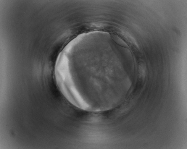X0000116030328200912312217
