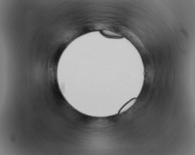 X0000116030329200912312217