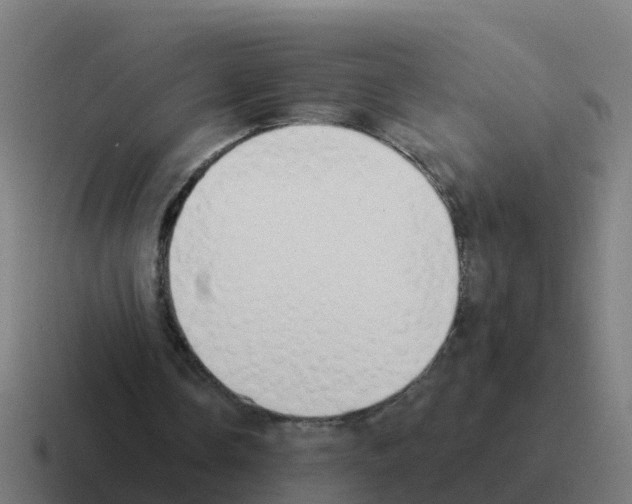 X0000116030338200912312217