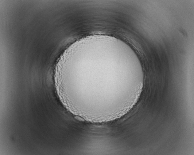 X0000116030361200912312217
